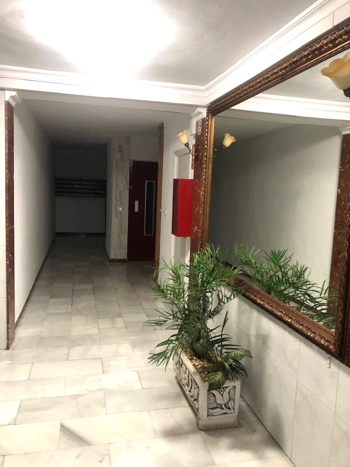 Imagen de WhatsApp 2025-10-08 a las 16.33.16_0ef2f1c0